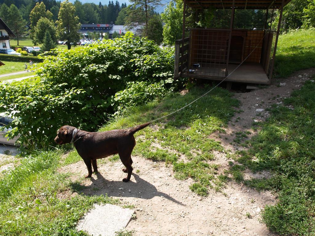 Penzion Rozic Bohinj Bagian luar foto