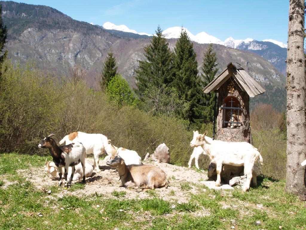 Penzion Rozic Bohinj Bagian luar foto